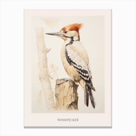 Vintage Bird Drawing Woodpecker 1 Poster Canvas Print