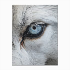 Tundra Wolf Eye 3 Canvas Print