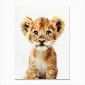 Lion Cub Canvas Print