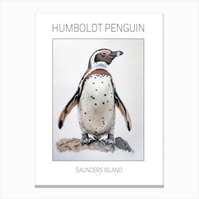 Humboldt Penguin Saunders Island Watercolour Painting 2 Poster Canvas Print