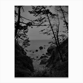 Black And White Canvas Print