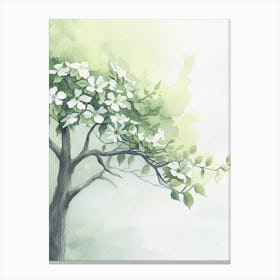Dogwood Tree Atmospheric Watercolour Painting 2 Canvas Print