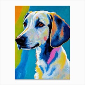 Berger Picard Fauvist Style dog Canvas Print