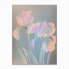Iridescent Flower Iris 3 Canvas Print