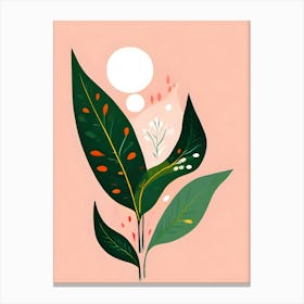 Illustration Of A Leaf 2 Canvas Print