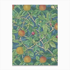 Passionfruit Vintage Botanical Fruit Canvas Print