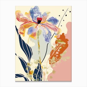Colourful Flower Illustration Cosmos 2 Canvas Print