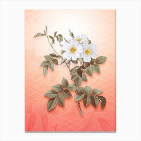 White Rosebush Vintage Botanical in Peach Fuzz Hishi Diamond Pattern n.0184 Canvas Print