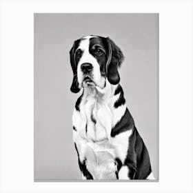 Grand Basset Griffon Vendeen B&W Pencil dog Canvas Print