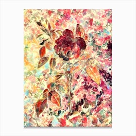 Impressionist Fragrant Rosebush Botanical Painting in Blush Pink and Gold Canvas Print
