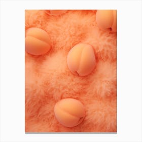 Fuzzy Peaches 2 Canvas Print