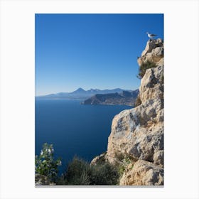 Seagull on a rock overlooking the Mediterranean Sea Canvas Print