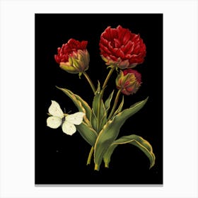 Red Tulips With Butterfly Canvas Print