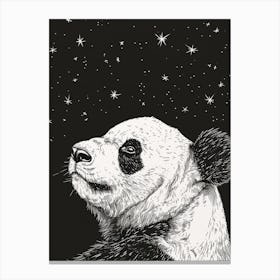 Giant Panda Looking At A Starry Sky Ink Illustration 1 Canvas Print