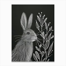 Jersey Wooly Rabbit Minimalist Illustration 3 Canvas Print