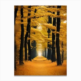 Autumn Path 1 Canvas Print