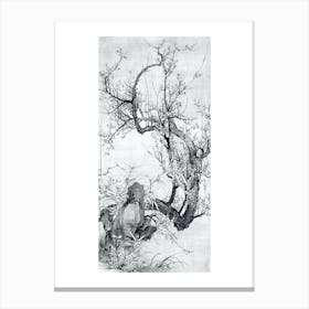 'A Cherry Tree' Canvas Print