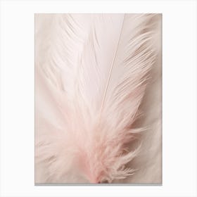 Pink Boho Feather 1 Canvas Print