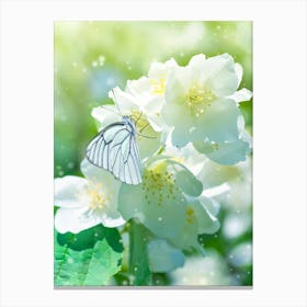 White Butterfly On White Flowers Canvas Print