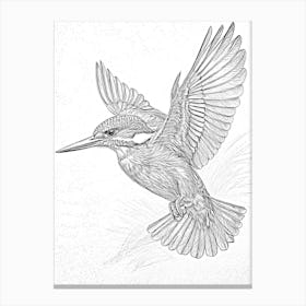 Kingfisher Pencil Canvas Print