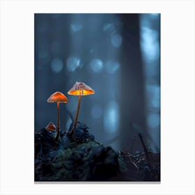 Mushrooms In The Forest 2 Canvas Print