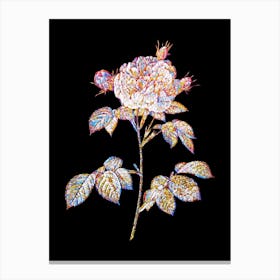 Stained Glass Vintage Rosa Alba Mosaic Botanical Illustration on Black n.0221 Canvas Print