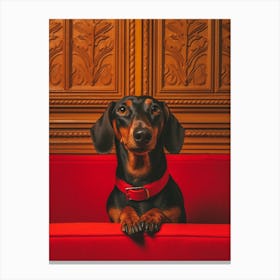 A Dachshund Dog 6 Canvas Print