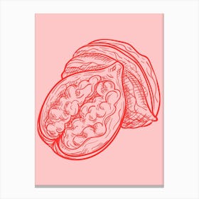 Pomegranate 13 Canvas Print