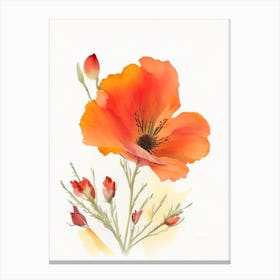 Desert Poppy Wildflower Watercolour 1 Canvas Print
