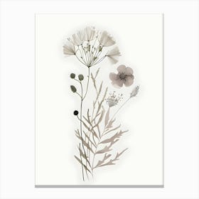 Minimalist Wildflower Floral Botanical Neutral Canvas Print