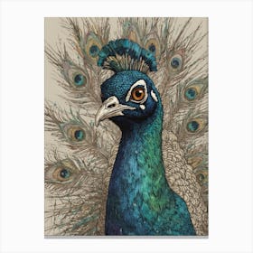 Peacock 21 Canvas Print