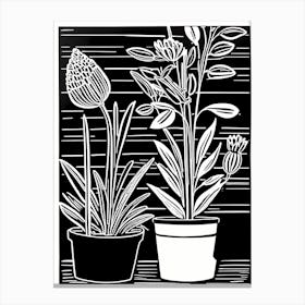 Lion cut inspired Black and white Garden plants & flowers art, Gardening art, 246 Canvas Print