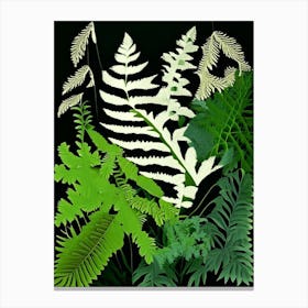 Mountain Spleenwort Vibrant Canvas Print