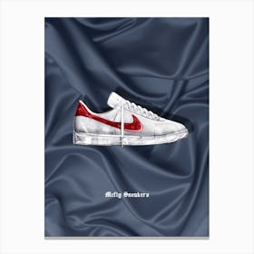Mcfly Sneakers Canvas Print