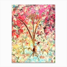 Impressionist Brandlelie Botanical Painting in Blush Pink and Gold Canvas Print