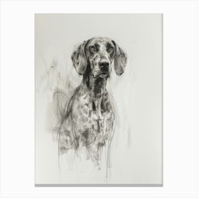 Bluetick Hound Dog Charcoal Line 3 Canvas Print
