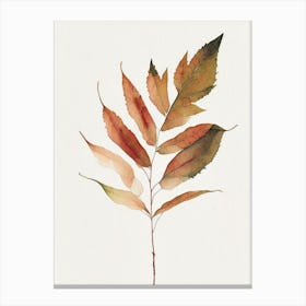 Staghorn Sumac Leaf Minimalist Watercolour Canvas Print