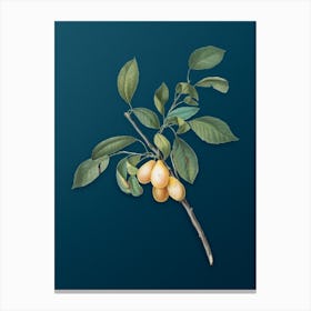 Vintage Plum Botanical Art on Teal Blue Canvas Print