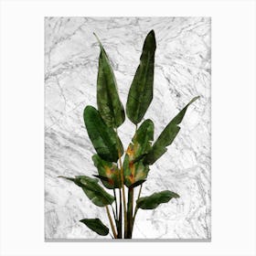 Bird of Paradise Plant on White Marble Canvas Print