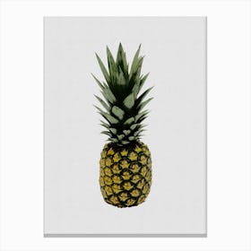 Pineapple I Canvas Print