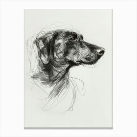 Spaniel Doberman Dog Charcoal Line 2 Canvas Print