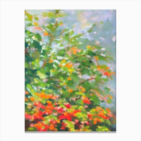 Croton 3 Impressionist Painting Plant Canvas Print