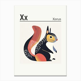 Animals Alphabet Xerus 2 Canvas Print