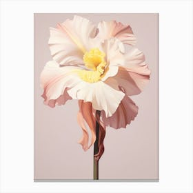 Floral Illustration Daffodil 2 Canvas Print