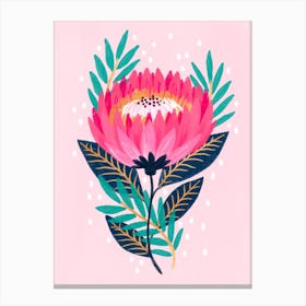 Protea Canvas Print