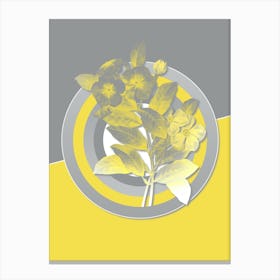 Vintage Periwinkle Botanical Geometric Art in Yellow and Gray n.231 Canvas Print