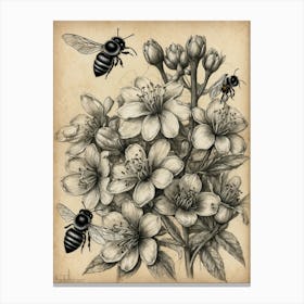 Bees And Blossoms Canvas Print