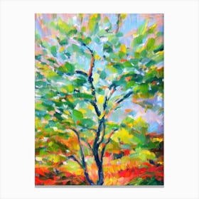 Dragon Tree 3 Impressionist Painting Plant Canvas Print