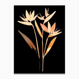 Watercolor Flowers On Black Background Canvas Print