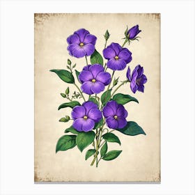 Purple Hibiscus Flowers Canvas Print